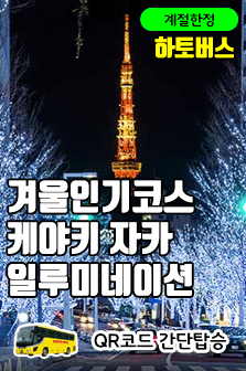 겨울한정! 케야키자카 인기 일루미네이션 감상 (2시간)